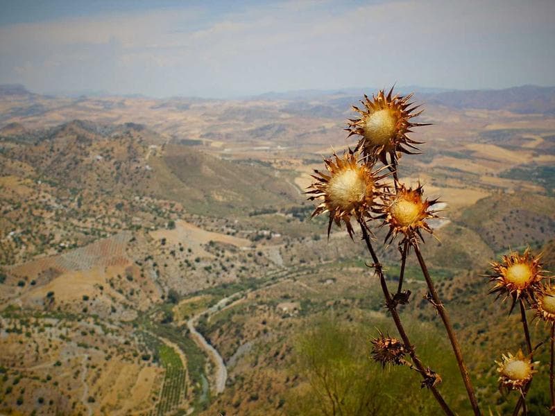 International transfers